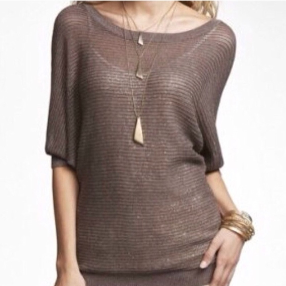 Express Brown Sparkly Sweater